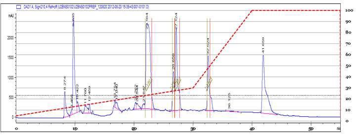 Nutrient starvation 조건의 산삼 CMCs 배양액에서 WGBNS01, WGBNS02 분취 결과