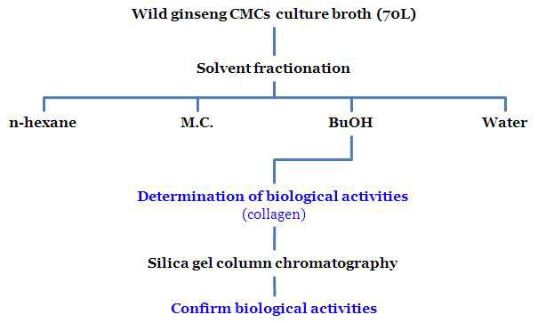 산삼 CMCs 배양액의 활성 화합물 분리과정 모식도