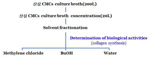산삼 CMCs 배양액 용매 분획물 제조과정 모식도