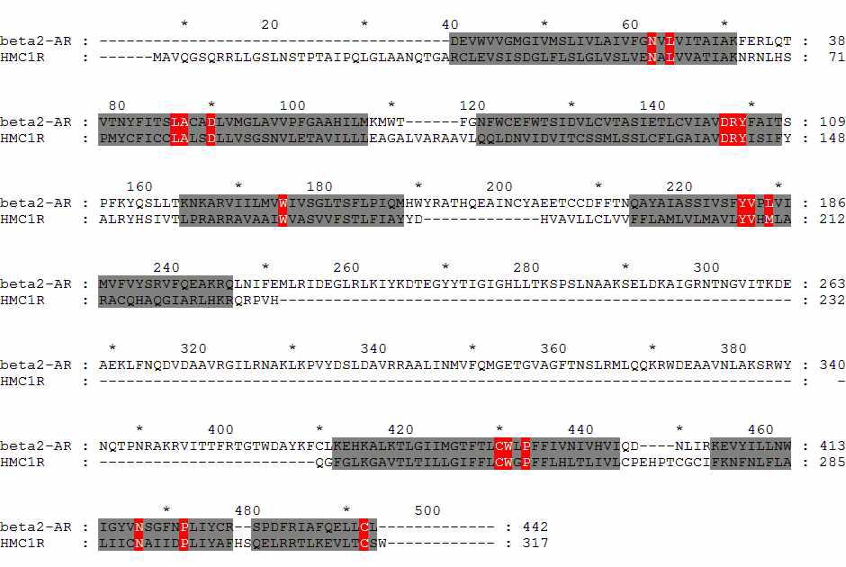 β2-AR과 인간 MC1R sequence alignment