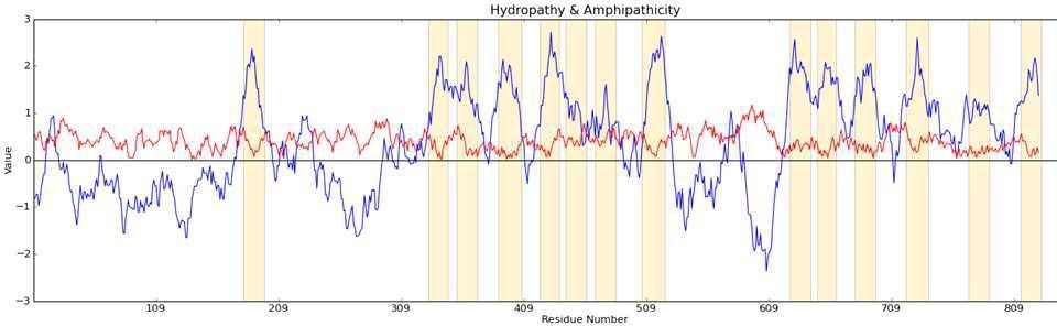 hydropathy plot 결과.