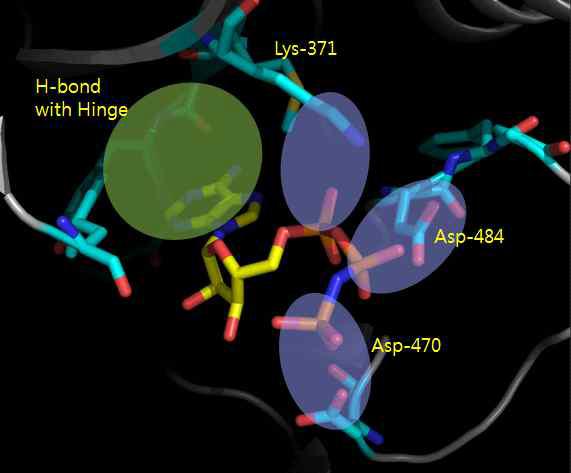 3PFQ catalytic domain에 결합이 된 inhibitor와 주요 아미노산 residue
