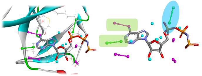 PKC-β catalytic site에서 추출한 필수/선택적인 pharmacophore feature 집합