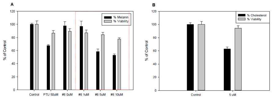 BMD-HMG-0008의 멜라닌 생성저해 효과 및 콜레스테롤 생성저해 효과