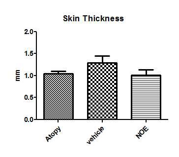 NC/Nga mice를 이용한 아토피 피부염 동물모델에서 후보 물질 도포에 의한 피부 두께 변화