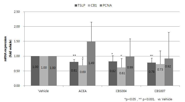 건선 동물모델에서 TSLP, CB1, PCNA의 mRNA 발현 비교