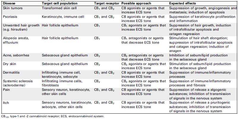 다양한 피부 질환에 있어 cannabinoid receptor 조절제의 응용 분야