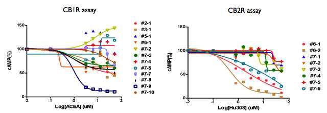 CB1R, CB2R functional assay (cAMP assay) 결과