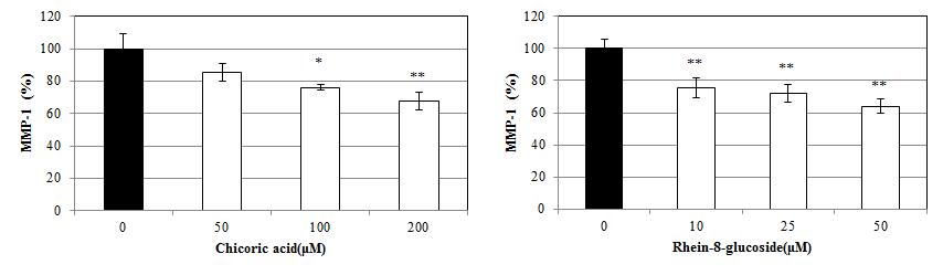 항염소포경험방1의 지표 및 활성 성분의 Type-1 procollagen 생함성능 및 MMP-1 생합성 저해능