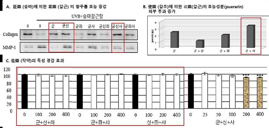 승마갈근탕 한방처방의 ‘군신좌사’ 이론 확립