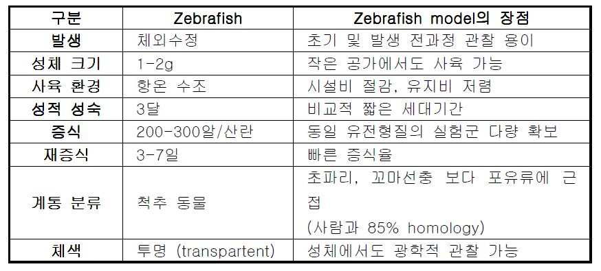 제브라피쉬의 특징