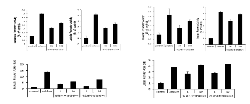 Involucrin/Loricrin promotor assay