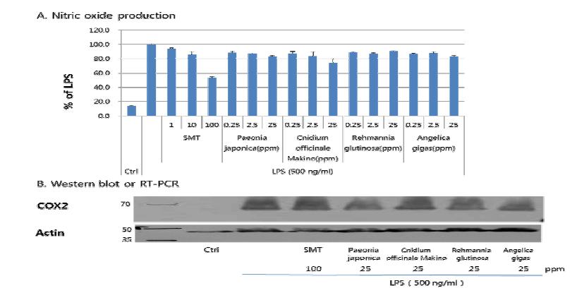 사물탕에 의한 pro-inflammatory factors 의 발현변화