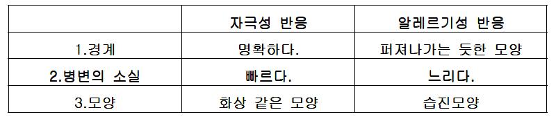 자극성 반응과 알레르기 반응의 판정기준