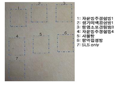 SLS 첨포검사