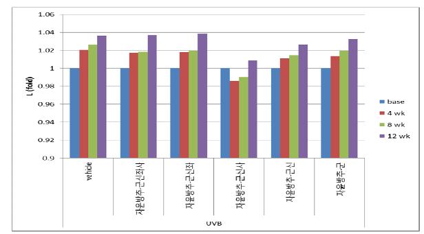 색도계를 이용한 피부 밝기 측정