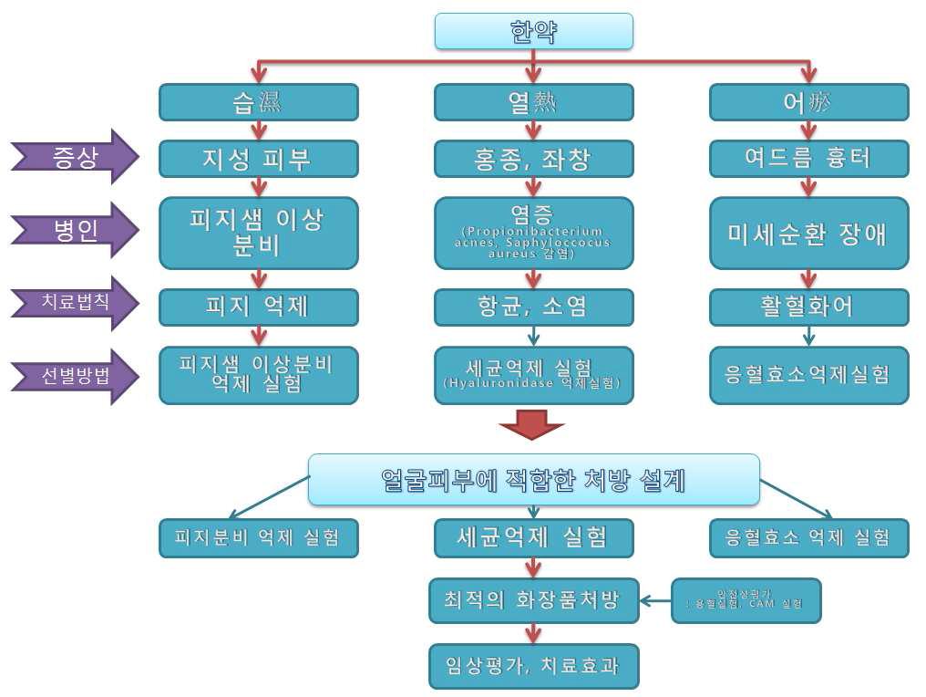 중의학 이론에 의한 여드름 치료 기능성 화장품 개발을 위한 처방 개발 과정