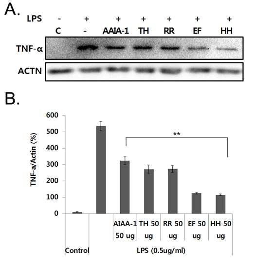 항염소포경험방1의 LPS에 의한 TNF a 생성 억제