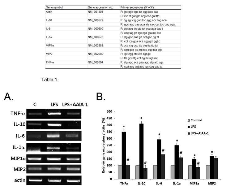 항염소포경험방1의 LPS에 의한 cytokine 생성 억제