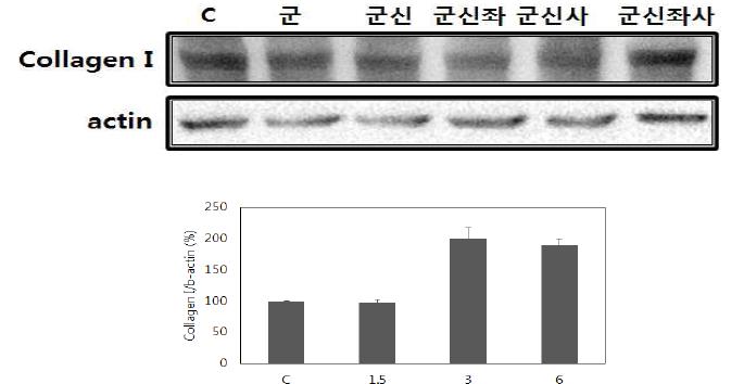 Immunoblot of 3D skin layer after treatment of herbal extracts