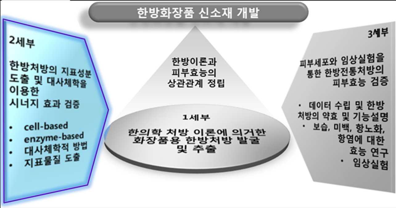 연구개발과제 추진체계