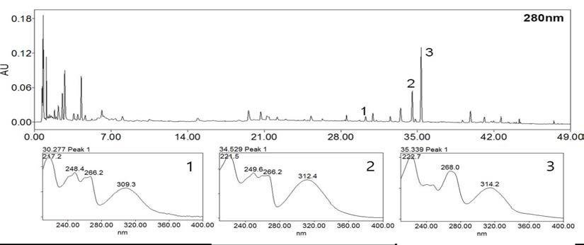 향약집성경험방 열수 추출물의 UPLC 분석 자료와 peak 3개의 UV-spectra