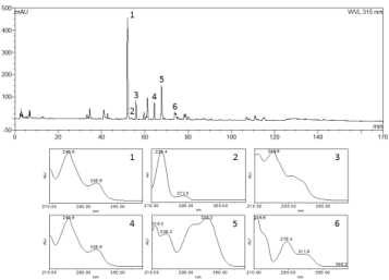 승마갈근탕 열수 추출물의 UPLC 분석 자료와 peak 3개의 UV-spectra