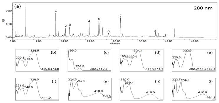 항염소포간편방 1 열수 추출물의 UPLC 분석 자료와 peak 8개의 UV-spectra