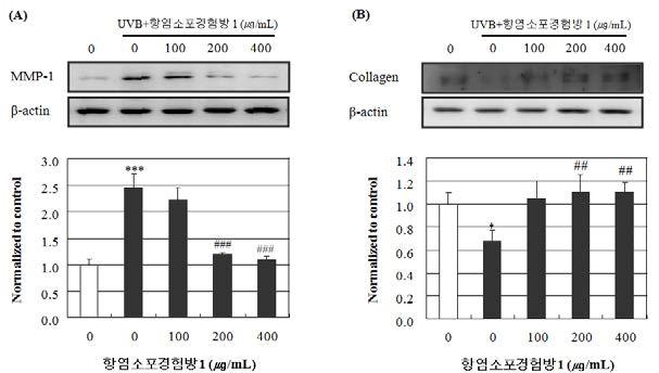 항염소포경험방 1 처방의 UVB 조사에 의한 Collagen 및 MMP-1 단백질 발현 변화