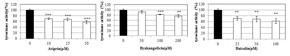 자윤방추경험방 1의 지표 및 활성 성분의 tyrosinase 활성 저해능