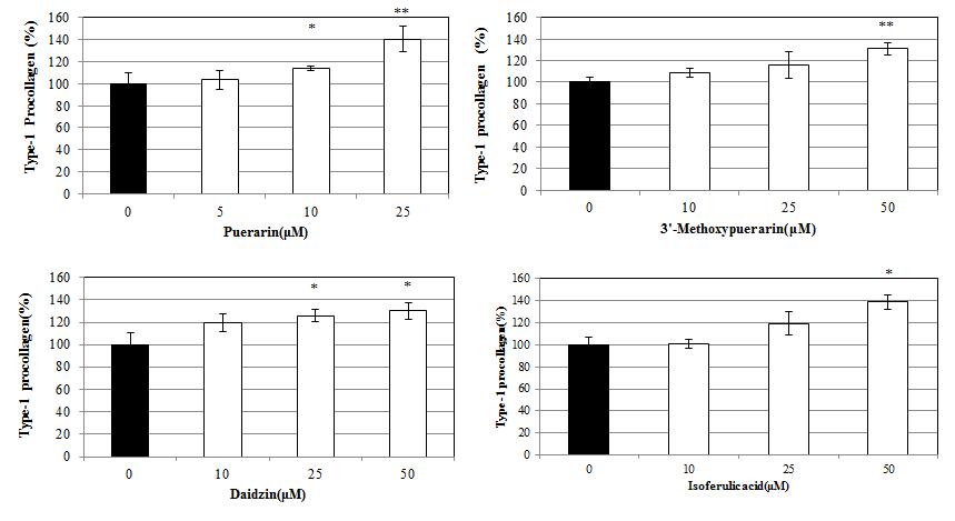 승마갈근탕의 지표 및 활성 성분의 Type-1 procollagen의 생합성능