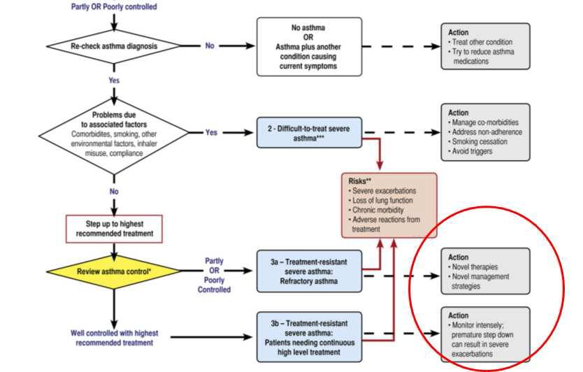 Decision tree for refractory severe asthma