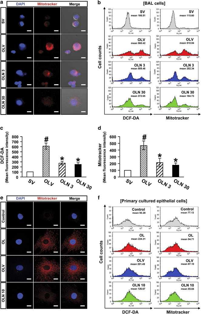 Generation of Intracellular ROS and Mitochondrial ROS in BAL Cells and Primary Cultured Tracheal Epithelial Cells from OVALPS-OVA Mice