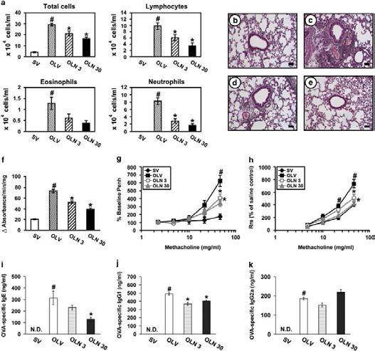 Effects of NecroX-5 on asthmatic features of OVA-LPS mice