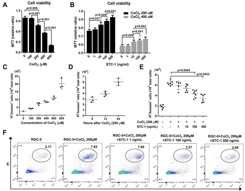 STC-1 inhibited apoptosis of RGC-5 cells exposed to CoCl2