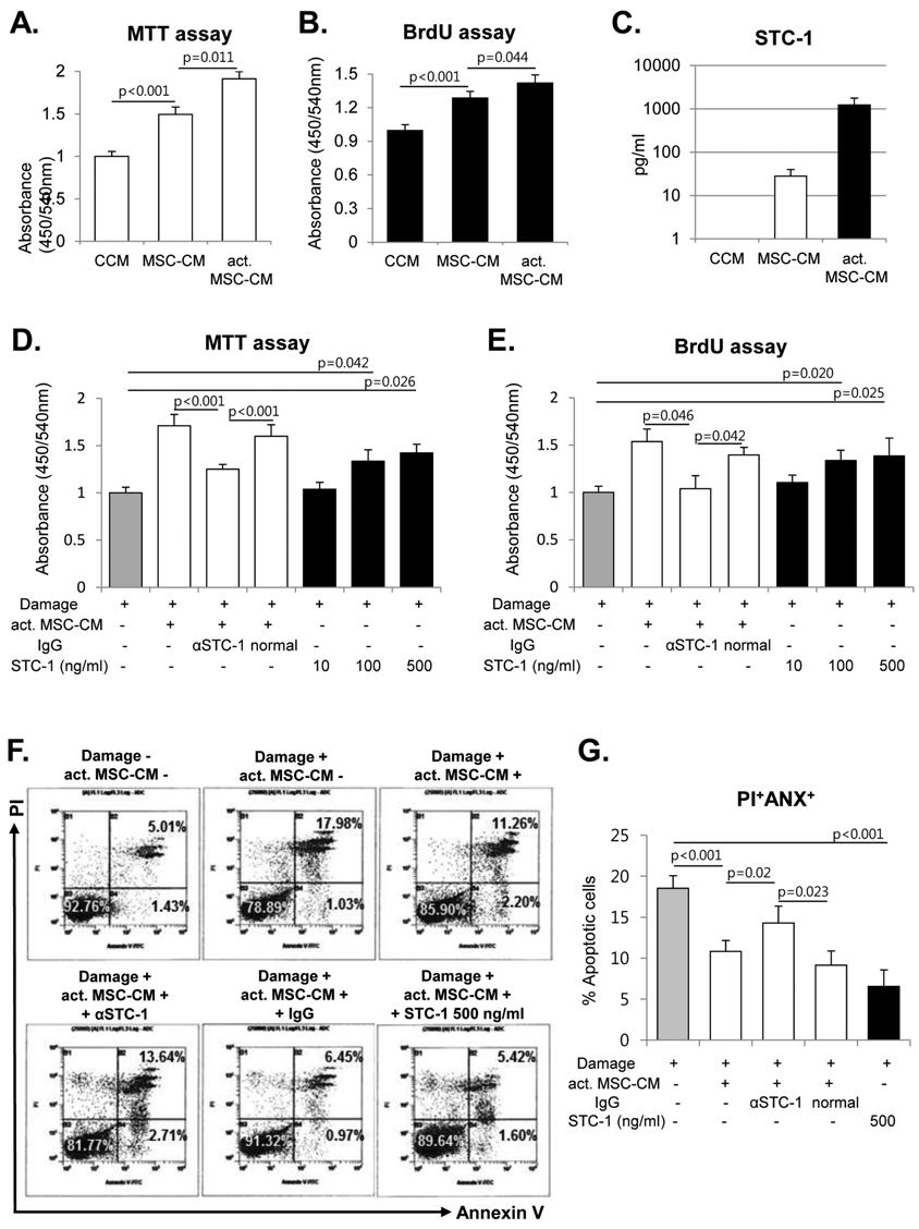Effect of TNF-α-activated MSC on survival, proliferation, and apoptosis of hCEP