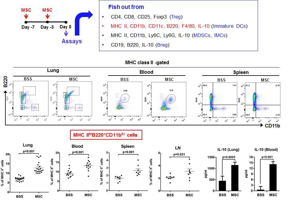 Intravenous injection of MSCs at days -7 and -3 significantly increased MHC IIhiB220+CD11bhi cells in the lung, blood, spleen, and LN at day 0.