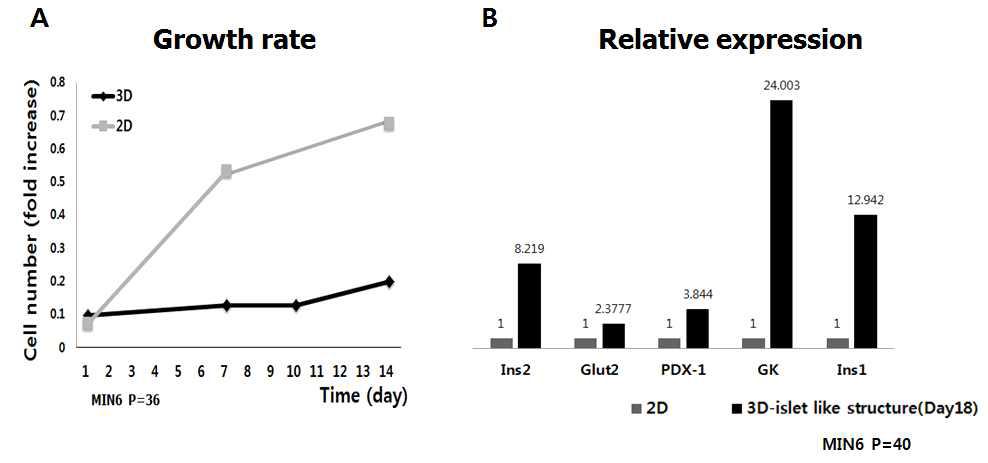 이차원 배양과 수화젤시트 배양에서 MIN6 세포의 성장속도와 유전자 발현비교