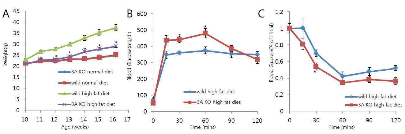 Body weight change after high fat diet (A), Intra-peritoneal glucose tolerance test using 2.0g/kg glucose (B), Intra-peritoneal insulin tolerance test using 0.75U/kg insulin (C)