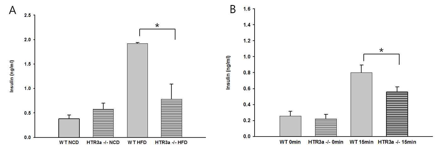 Random insulin level after high fat diet