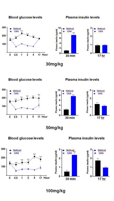 Glucokinase activator 투여 후 혈당 변화 및 혈장 인슐린 농도 변화