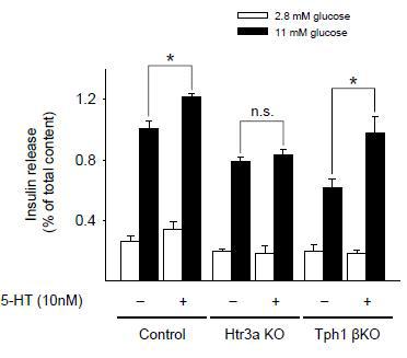 세로토닌은 Tph1 βKO 췌도의 인슐린분비능을 회복시킴