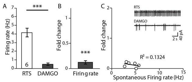 DAMGO application decreses the the firing rate LHb neurons from RTS rats(n=6, N=2, p<0.001)