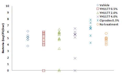 Each Individuals of Log10CFU/sample in each groups after YH1177 0.5%, 2.0%, 4.0% 140 ul, bid, for 7 day treatment.