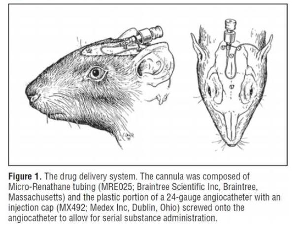 Example of middle ear catheter system for administration in guinea pig