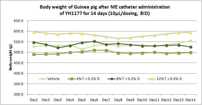 Body weight of guinea pig after ME catheter administration of YH1177 for 14 days (BID, 10 microliter/dosing).