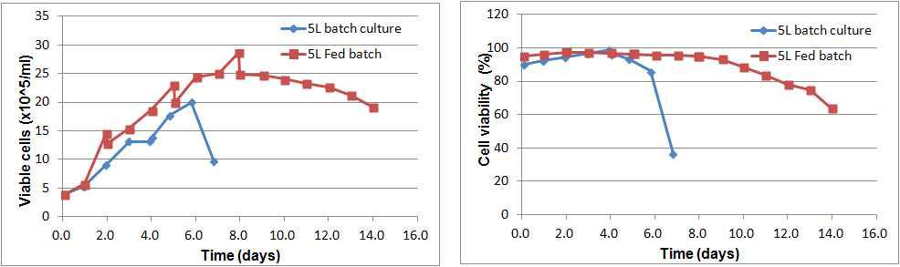 배양공정 개발-세포성장 비교 (5L bioreactor)