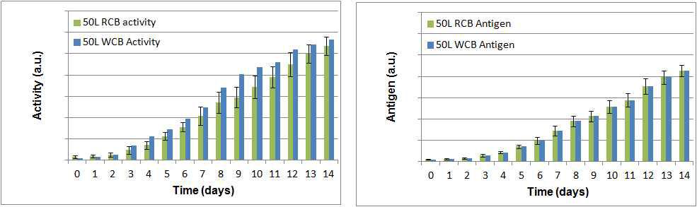 50L 배양기에서의 RCB 및 WCB 생산성 비교