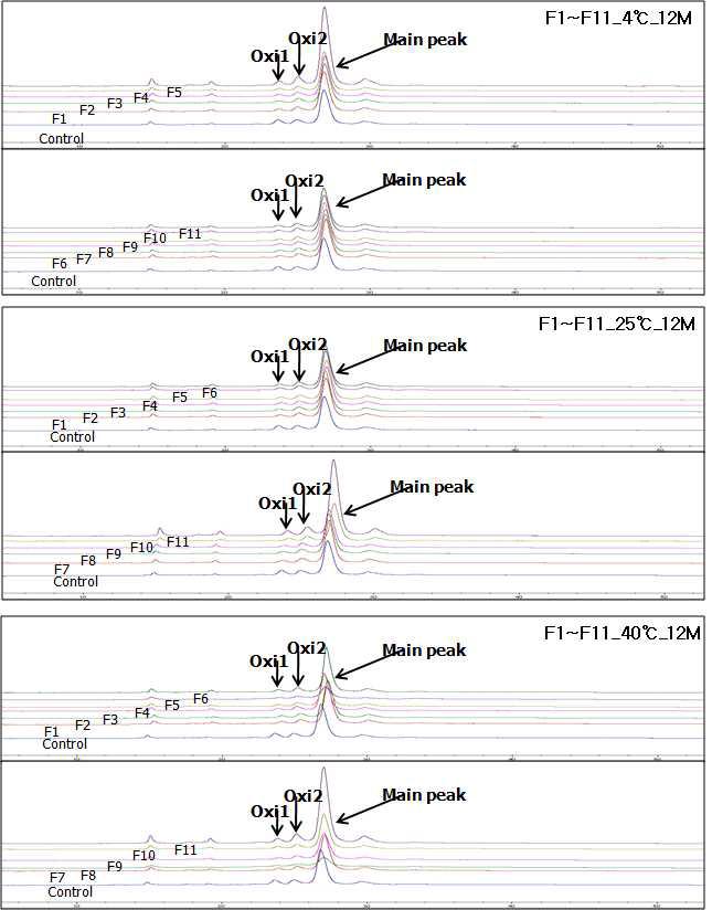 동결건조된 후보 제형들의 12개월 보관 후 분석 (HPLC-RP)