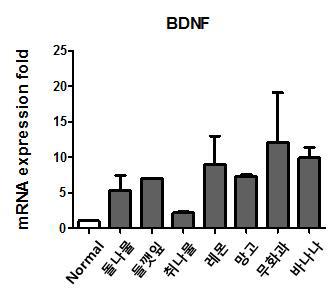 Enhancing effect of food extracts on BDNF expression in fibroblast